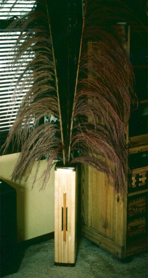 plantstand.jpg