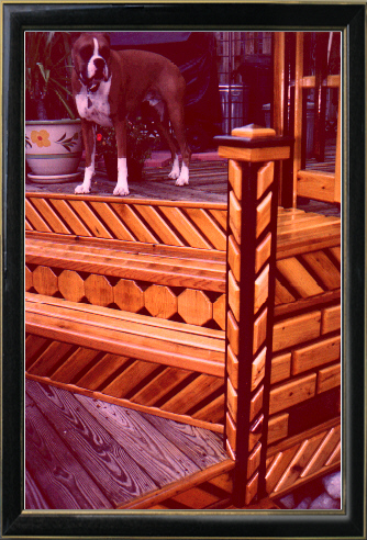 ashotofrockyandthefence.jpg