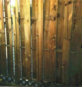 dfenceone.jpg