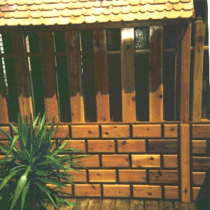 dfencetwo.jpg
